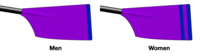 Image showing the rowing club's blade colours