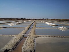 Marais salants de Guérande, dans l'ouest.