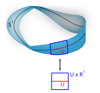 <span class="mw-page-title-main">Vector bundle</span> Mathematical parametrization of vector spaces by another space