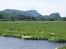 Pic Champlain vu du nord-est à partir du marais de la pointe aux Épinettes.