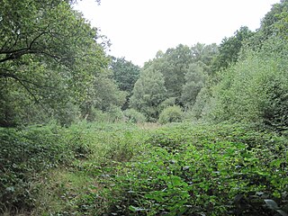 <span class="mw-page-title-main">Rowley Green Common</span>