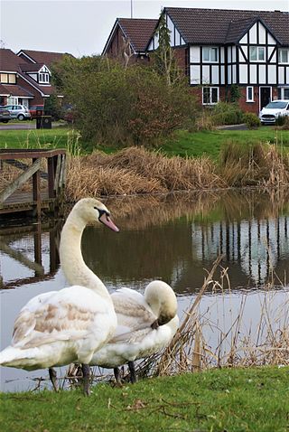 <span class="mw-page-title-main">Sandymoor</span> Human settlement in England