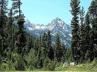 <span class="mw-page-title-main">Bitterroot National Forest</span> U.S. Forest across Montana and Idaho