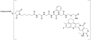 <span class="mw-page-title-main">Trastuzumab deruxtecan</span> Medication