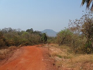 <span class="mw-page-title-main">Chiquitos Province</span> Province in Santa Cruz Department, Bolivia