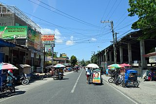 <span class="mw-page-title-main">Badian, Cebu</span> Municipality in Cebu, Philippines