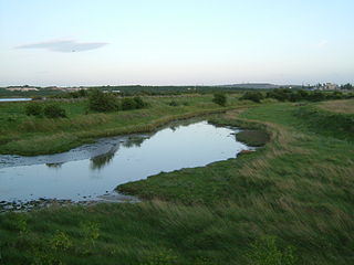 <span class="mw-page-title-main">North Kent Marshes</span>