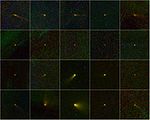 20 комет, обнаруженных в рамках программы NEOWISE (снимок в ИК-диапазоне)