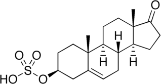 <span class="mw-page-title-main">Dehydroepiandrosterone sulfate</span> Chemical compound