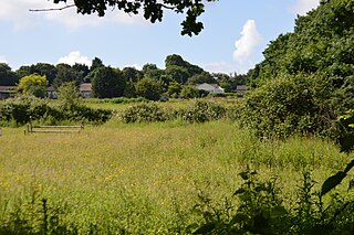 <span class="mw-page-title-main">Garrold's Meadow</span>