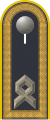 Jacke Dienstanzug Luftwaffenuniformträger