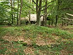 Gravhög i botaniska trädgården i Marburg från yngre bronsåldern.