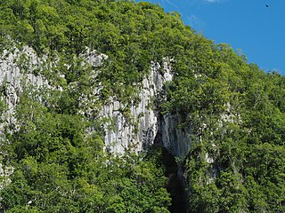 Sánchez Ramírez Province Province of the Dominican Republic