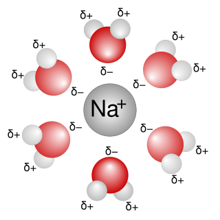 <span class="mw-page-title-main">Solvation</span> Association of molecules of a solvent with molecules or ions of a solute