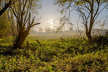 Nordkirchen, North Rhine-Westphalia, Germany