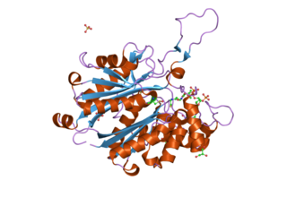 <span class="mw-page-title-main">ACAT2</span> Protein-coding gene in the species Homo sapiens