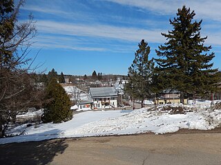 <span class="mw-page-title-main">Saint-Didace</span> Parish municipality in Quebec, Canada