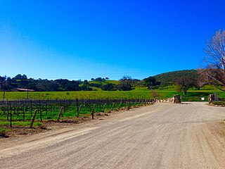 <span class="mw-page-title-main">Santa Ynez Valley AVA</span> Wine region in Santa Barbara, California, United States