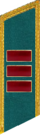 петлица 1937