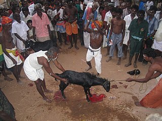 <span class="mw-page-title-main">Animal sacrifice in Hinduism</span>