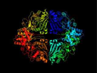 <span class="mw-page-title-main">Amidophosphoribosyltransferase</span> Mammalian protein found in Homo sapiens