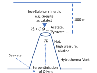 含铁硫矿物，如Greigite（英语：Greigite），在热液喷口催化二氧化碳还原，生成三羧酸循环中间体。[248]