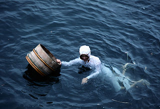 <span class="mw-page-title-main">Pearl hunting</span> Collecting pearls from wild molluscs