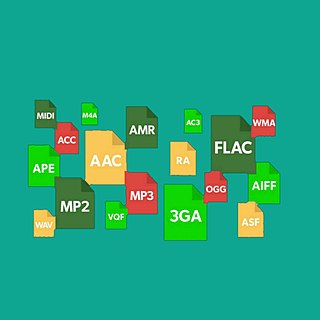 <span class="mw-page-title-main">Audio file format</span> Computer format for digital audio