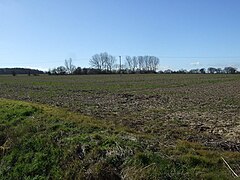 Farmland, Buckwood Farm - geograph.org.uk - 3890620.jpg