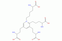 Isodesmosina