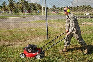 <span class="mw-page-title-main">Lawn mower</span> Grass cutting device