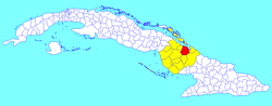 Minas municipality (red) within Camagüey Province (yellow) and Cuba