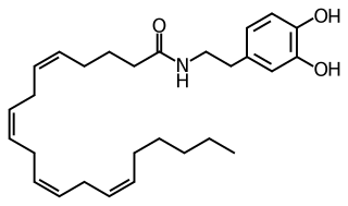 <i>N</i>-Arachidonoyl dopamine Chemical compound