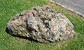 Nettlebed puddingstone