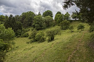 29. Platz: Derzno mit Impressionen aus dem Naturschutzgebiet „Schottental bei Heldmannsberg“