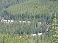 Spiral Tunnels were built for trains to travel the mountains at appropriate grade (Kicking Horse Pass, Alberta/British Columbia border)