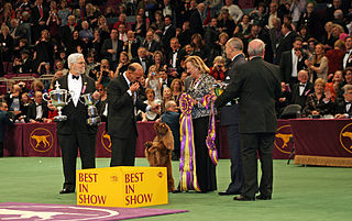 Westminster Kennel Club Dog Show Annual conformation show in New York City