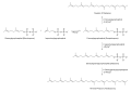 Schema der Biosynthese der Terpene ausgehend von Geranylpyrophosphat; en: Biosynthesis of the Terpenes starting from geranyl pyrophosphate