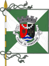 Bandeira de Ermesinde