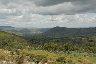 <span class="mw-page-title-main">Wildlife of Burundi</span> Flora and fauna in Burundi