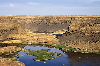 <span class="mw-page-title-main">Dry Falls</span> Scalloped precipice with four major alcoves, in central Washington scablands