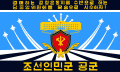 Korean People's Army Air and Anti-Air Force (Reverse)