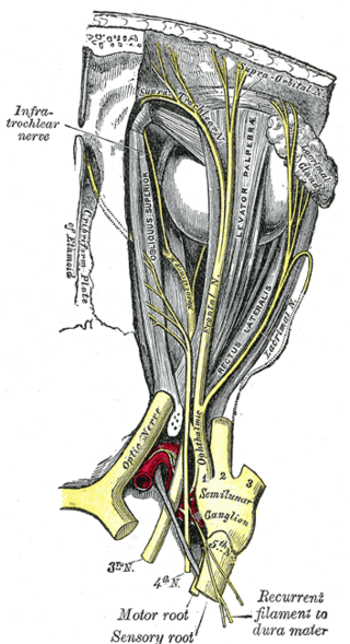 <span class="mw-page-title-main">Ischemic optic neuropathy</span> Medical condition