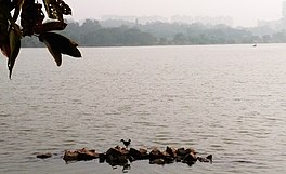 View of Hebbal lake