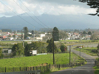 <span class="mw-page-title-main">Inglewood, New Zealand</span> Settlement in Taranaki Region, New Zealand