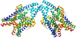 <span class="mw-page-title-main">KCNK3</span> Protein-coding gene in the species Homo sapiens