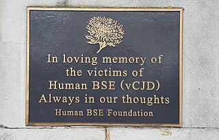 <span class="mw-page-title-main">United Kingdom BSE outbreak</span> Mad cow disease outbreak in the 1980s and 90s