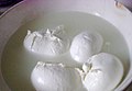 Fresh Mozzarella di bufala