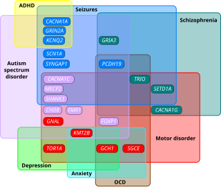 <span class="mw-page-title-main">Conditions comorbid to autism spectrum disorders</span> Medical conditions more common in autistic people