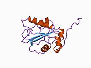 PDB 1c25 EBI.jpg